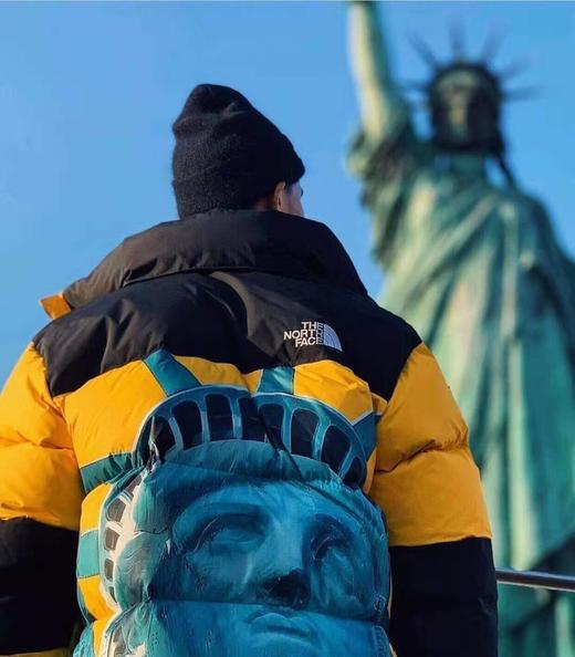 北面supreme 20fw联名款 科技防水自由女神羽绒服 情侣款