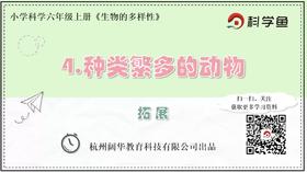 6.4.4《种类繁多的动物》拓展延伸课程