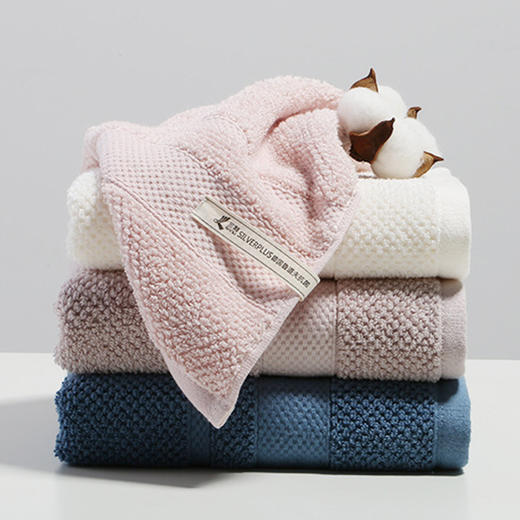 德国鲁道夫抗菌毛巾 商品图3