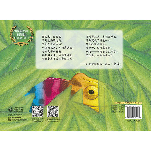 乱七八糟的变色龙(聪明豆绘本系列精装珍藏版) 商品图3