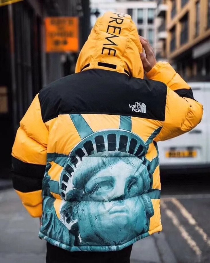 北面supreme 20fw联名款 科技防水自由女神羽绒服 情侣款