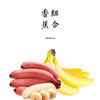 生态香蕉（ 黄蕉 红蕉 ）/需催熟后使用【基地直发】| 产地：福建漳州 | 生产者：戴胜利【公平贸易农人定价】 商品缩略图0