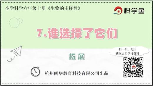 6.4.7《谁选择它们》拓展延伸课程 商品图0