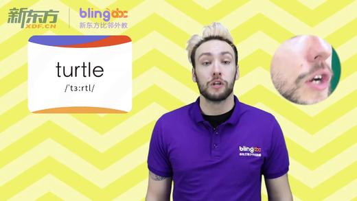 三年级人教版必学单词标准发音课--unit4-19--【turtle】 商品图0