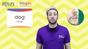 三年级人教版必学单词标准发音课--unit4-6--【dog】