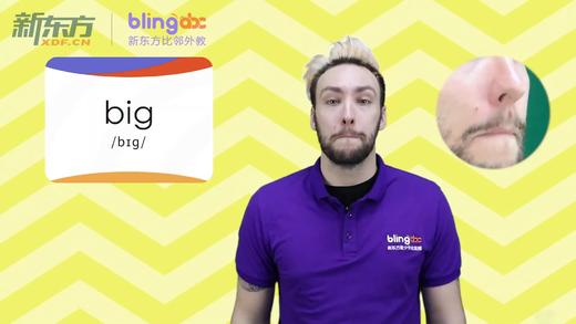 三年级人教版必学单词标准发音课--unit4-1--【big】 商品图0