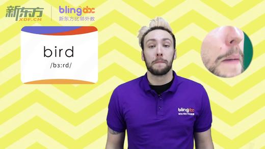 三年级人教版必学单词标准发音课--unit4-2--【brid】 商品图0