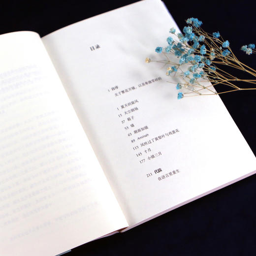 湖面如镜 商品图5