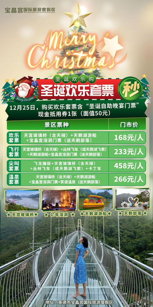 欢乐套票（圣诞节） 商品图0