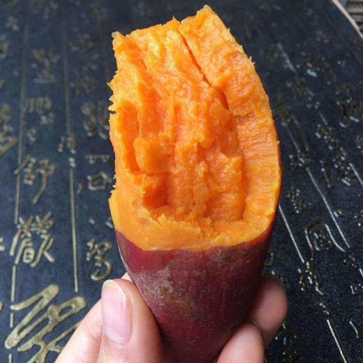 108 西瓜红薯 5斤 新鲜采挖 商品图2