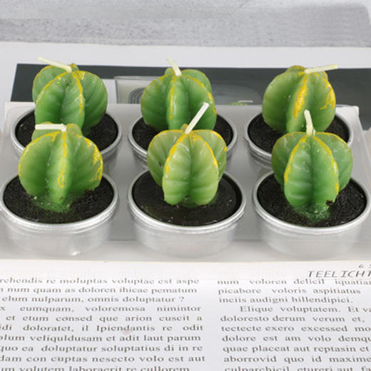 多肉蜡烛（杨桃） 商品图0