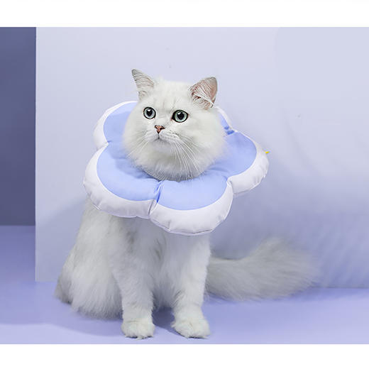 喵禾 猫狗通用 伊丽莎白圈 可爱花朵造型 术后防舔 咬防水耐抓挠 商品图3