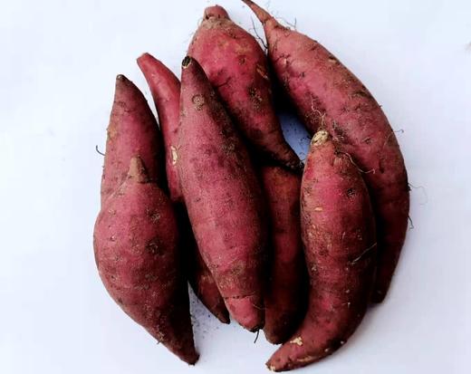 108 西瓜红薯 5斤 新鲜采挖 商品图3