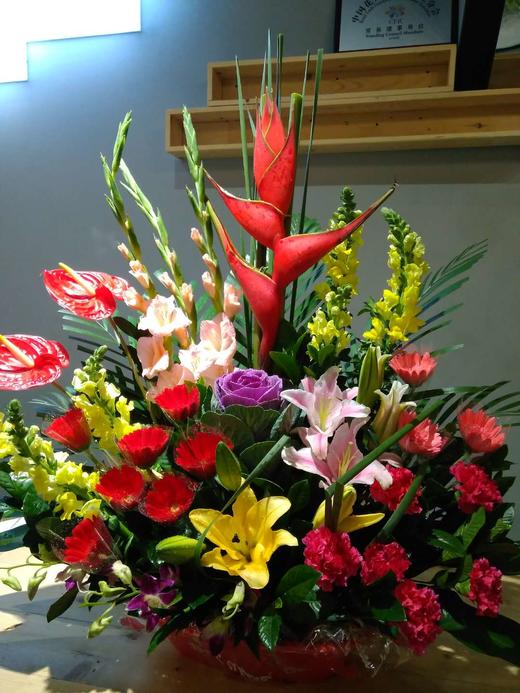 福星高照 商品图0