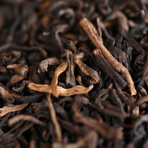 普洱茶 老同志 2019
年三级普洱散茶熟茶 500g 商品图3