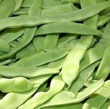 豆角扁每公斤 商品图0