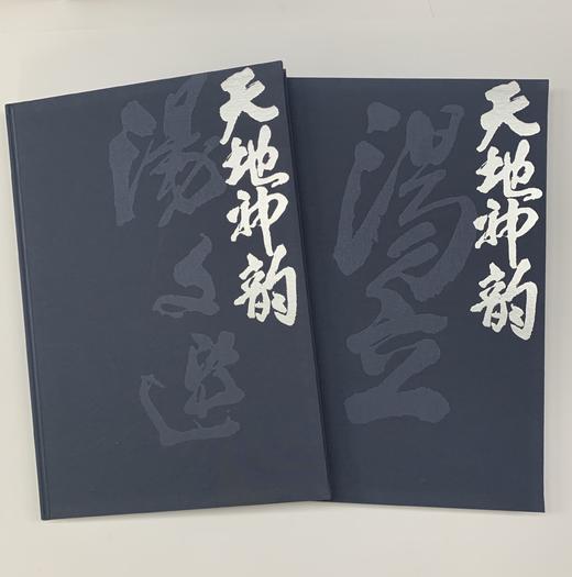 天地神韵 汤文选、汤立中国画集（精装）汤立先生签名本 商品图2