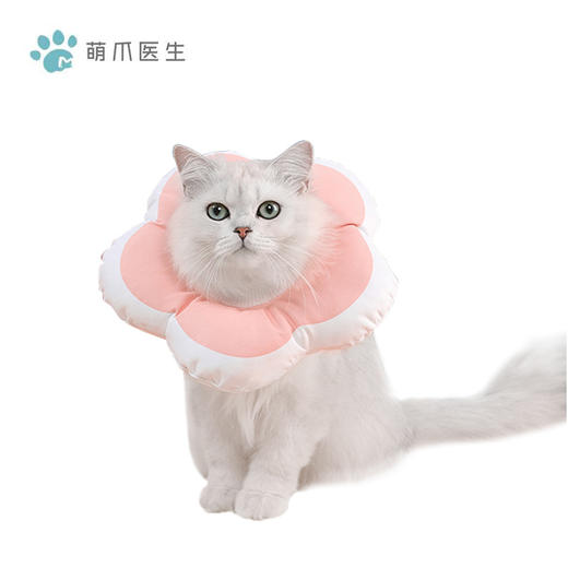 喵禾 猫狗通用 伊丽莎白圈 可爱花朵造型 术后防舔 咬防水耐抓挠 商品图0