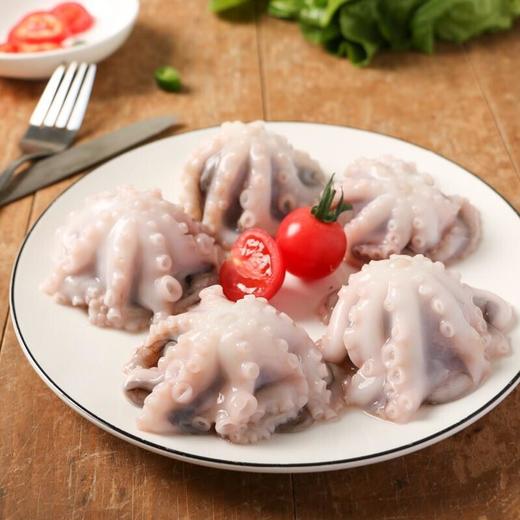 冰鲜八爪鱼4条 约500g /份