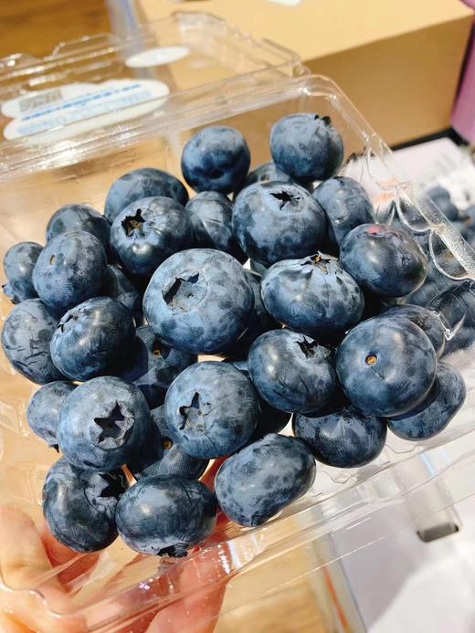 蓝莓 商品图0