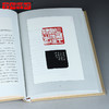 《名家名品篆刻赏析系列》之王福庵篆刻赏析100例 李刚田 商品缩略图1