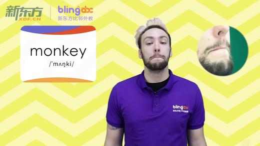 三年级人教版必学单词标准发音课--unit4-11--【monkey】 商品图0