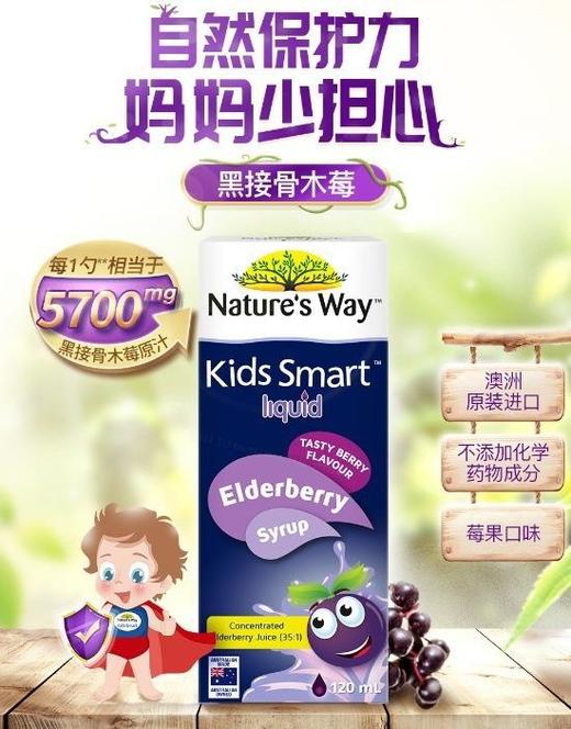 澳大利亚KidsSmart佳思敏鱼接骨木莓风味糖浆120ml 商品图0