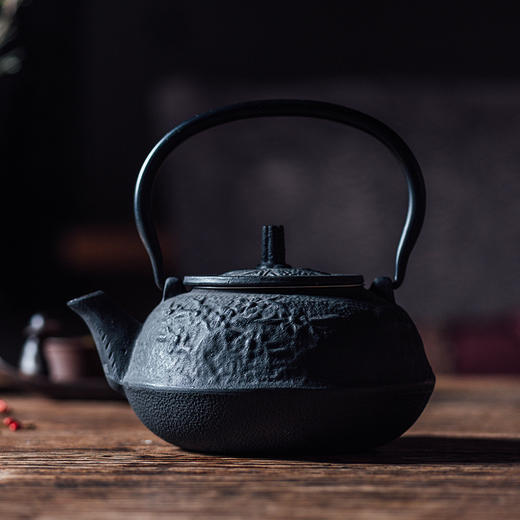 恒福 铸铁茶壶 烧水煮茶老铁壶 D 1.0L 商品图0