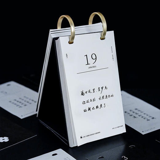 日历馆:一起练字《不明觉历日历2021》创意手写体日历台历2021 商品图5