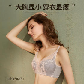 雅黛丽内衣大胸显小性感蕾丝杯面无钢圈调整型文胸女士文胸胸罩DYW06216