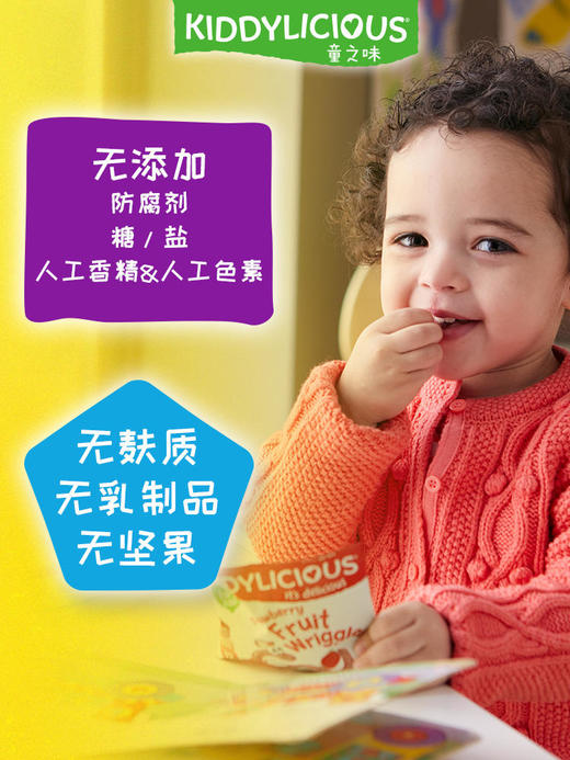 童之味kiddylicious欧洲原装进口宝宝水果软条婴儿零辅食48g 商品图2