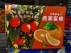 鹿寨蜜橙一箱 商品缩略图0