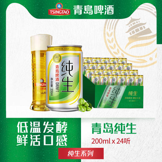 青岛啤酒纯生10度200ml*24听 迷你小罐啤 新品上市 包邮 商品图0