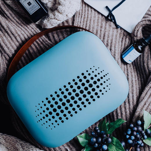 【双十二】诗杭SIAU取暖器家用节能省电速热迷你暖风机办公室桌面圣诞节礼物 商品图1