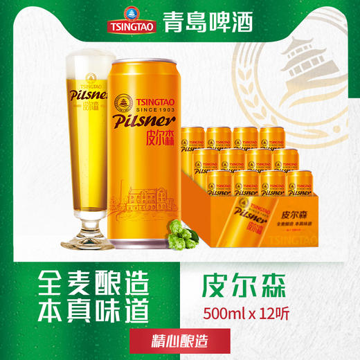 皮尔森10.5度 500ml*12罐 啤酒 青岛啤酒 包邮 商品图0
