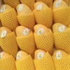 海南 高乐蜜芒果1个/约350g 商品缩略图3