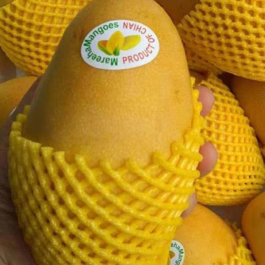 海南 高乐蜜芒果1个/约350g 商品图1