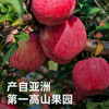 灵宝 高山苹果 特价16.6/6个(原价24/约1400g） 商品缩略图0