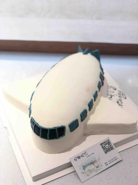 异形飞机 下单前请仔细阅读商品详情