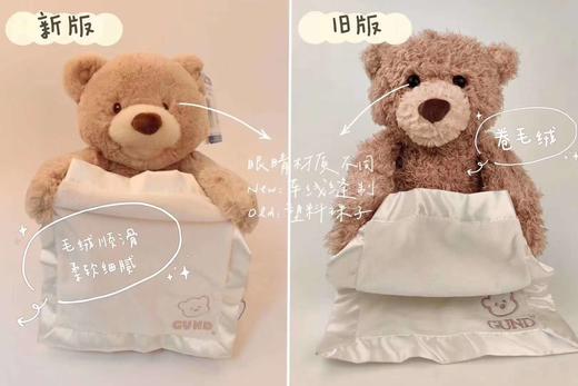 美国BABYGUND 躲猫猫小熊毛绒玩具新版【GUND】 商品图2