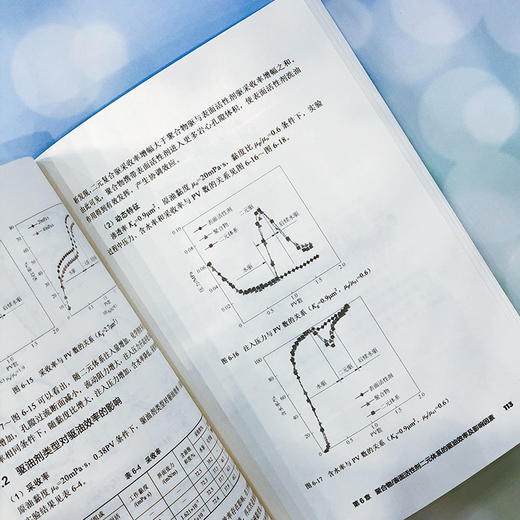 聚合物构效关系及油藏适应性评价 以大港油田为例 商品图3