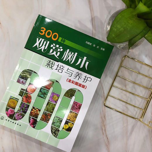 300种观赏树木栽培与养护 全彩图鉴版 观赏树木繁殖栽培与管理常见树种名称科属形态分布栽培养护园林用途 园林绿化园艺书籍 商品图4