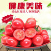 千禧小西红柿1盒/约650g 商品缩略图1