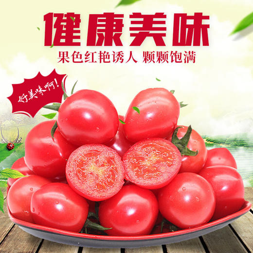 千禧小西红柿1盒/约650g 商品图1