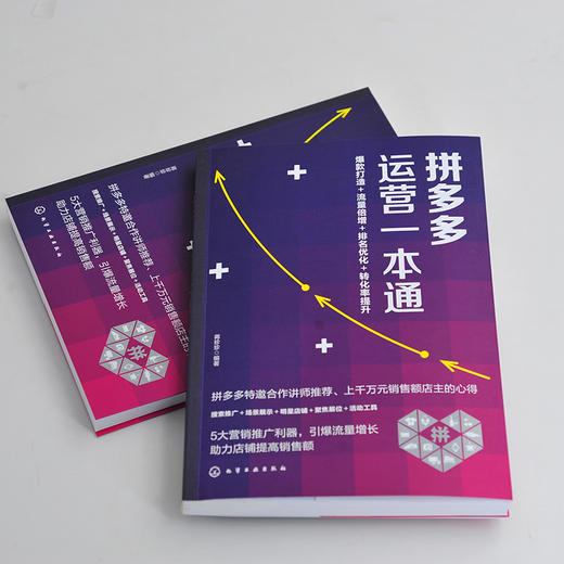 拼多多运营一本通 蒋珍珍 拼多多开店教程书籍拼多多运营实战打法打造爆款搜索推广提升排名选词养词优化付费推广店铺引流转化技巧 商品图2