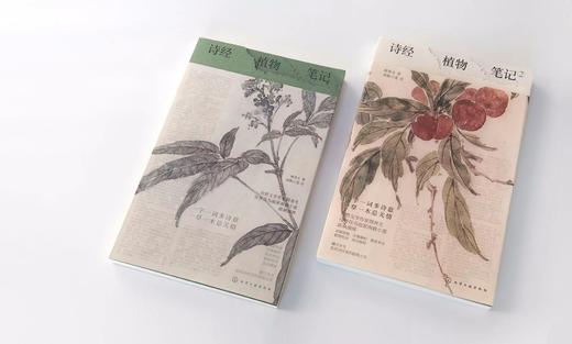 诗经植物笔记  韩育生 诗意解析 源流考证 植物性状读诗感悟书籍 诗经植物笔记体读本 植物之美 中国古典文化读物赏析 商品图2