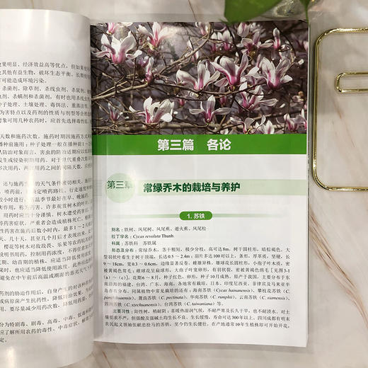 300种观赏树木栽培与养护 全彩图鉴版 观赏树木繁殖栽培与管理常见树种名称科属形态分布栽培养护园林用途 园林绿化园艺书籍 商品图2