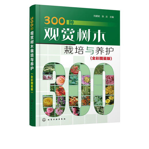 300种观赏树木栽培与养护 全彩图鉴版 观赏树木繁殖栽培与管理常见树种名称科属形态分布栽培养护园林用途 园林绿化园艺书籍 商品图5