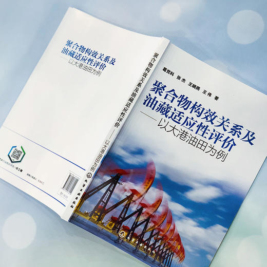 聚合物构效关系及油藏适应性评价 以大港油田为例 商品图1