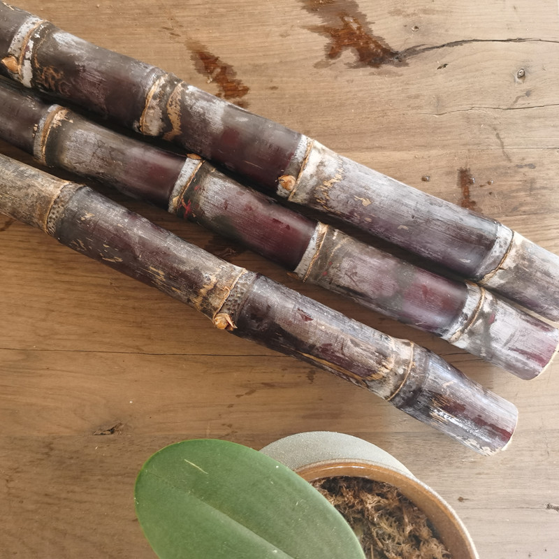 苗乡三七 | 生三七粉30g/盒-有机标准